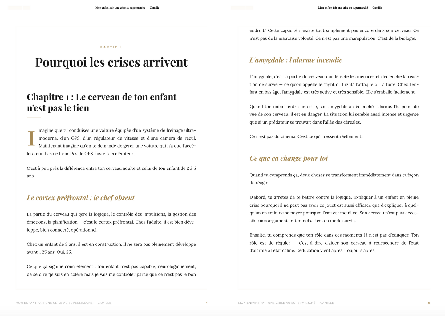 Zéro Crise au Supermarché : La Méthode des 60 Secondes pour Éteindre les Colères (Guide d'accompagnement)